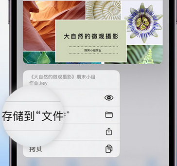 同心apple维修中心分享iPhone文件应用中存储和找到下载文件