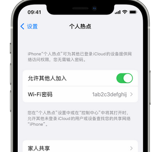 同心apple服务站点分享iPhone上个人热点丢失了怎么办 