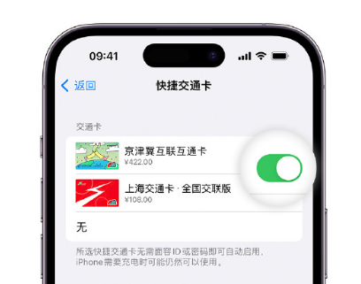 同心apple维修点分享iPhone上更换Apple Pay快捷交通卡手绘卡面 