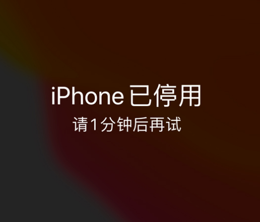 同心苹果手机维修分享:iPhone 显示“不可用”或“已停用”怎么办？还能保留数据吗？ 