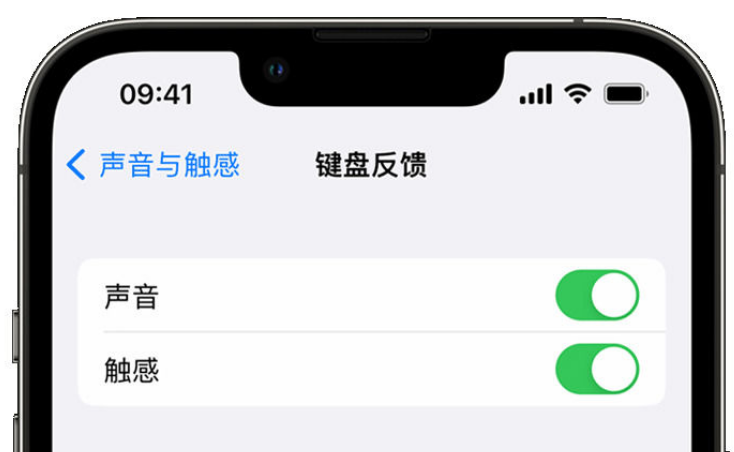 同心苹果手机维修分享iPhone 14触感键盘使用方法 