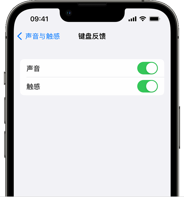 同心苹果14维修店分享如何在 iPhone 14 机型中使用触感键盘 