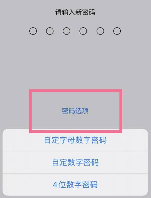 同心苹果14维修分享iPhone 14plus设置密码的方法 