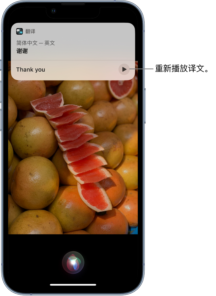 同心苹果14维修分享 iPhone 14 机型中使用 Siri：了解 Siri 能帮你做什么 