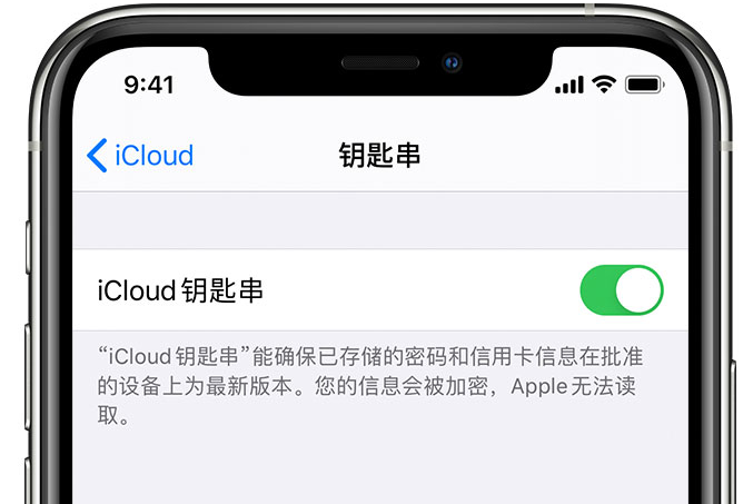 同心苹果手机维修分享在 iPhone 上开启 iCloud 钥匙串之后会储存哪些信息 