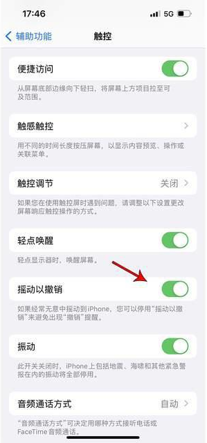 同心苹果手机维修分享iPhone手机如何设置摇一摇删除文字 