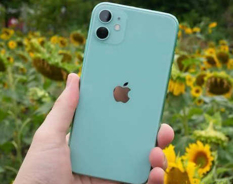 同心苹果维修点分享iPhone 11锁屏密码认知与使用科普 